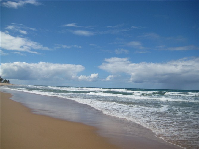 praia 2011.jpg