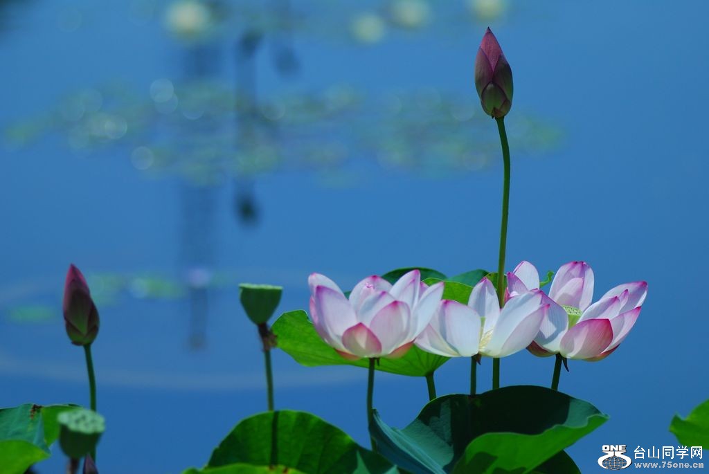 nEO_IMG_DSC_0354.jpg