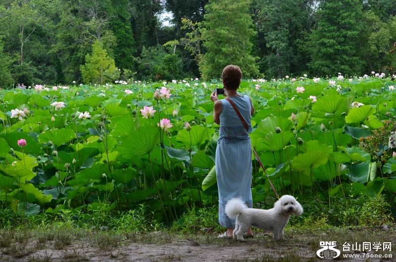 6-21-2012 Flowers 279.jpg