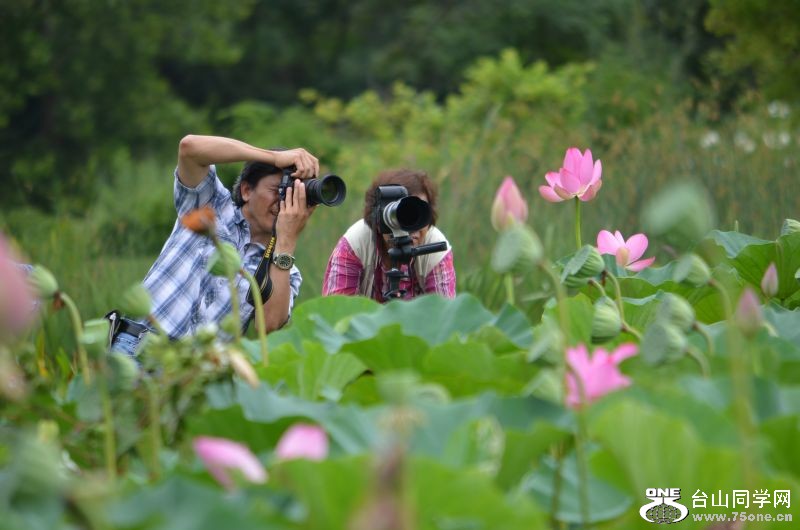 6-21-2012 Flowers 242.jpg