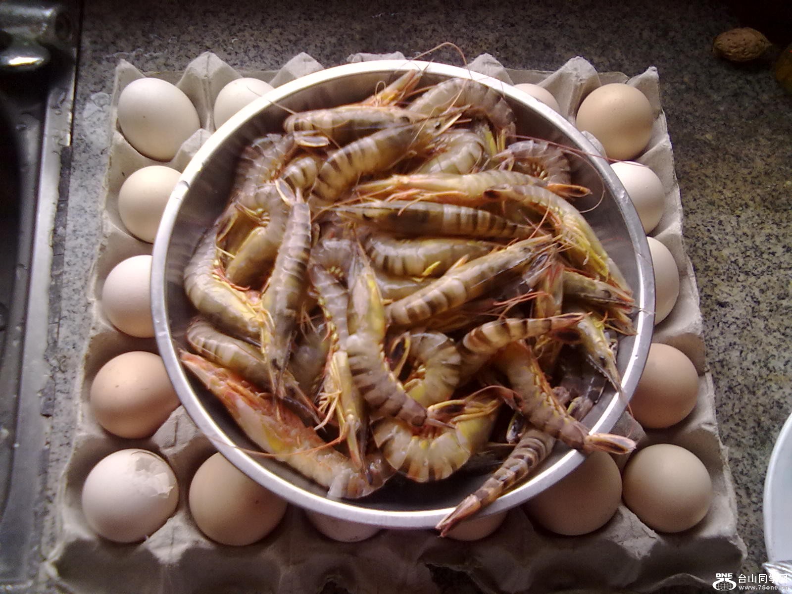 ���������������Ϻ