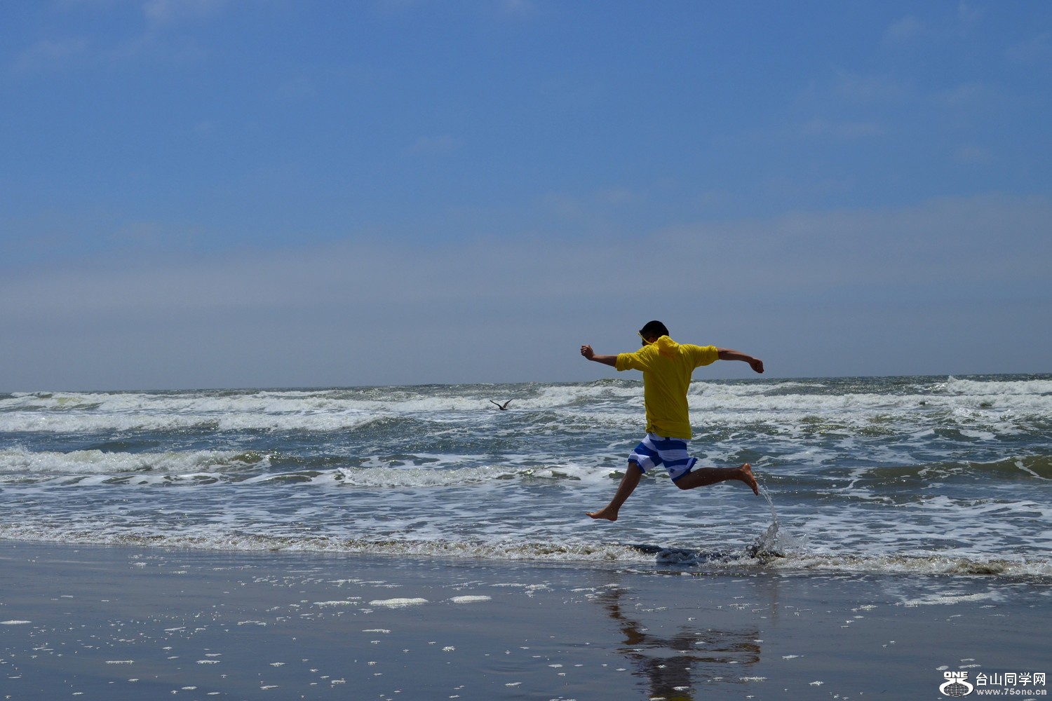 dsc_0033_6.jpg