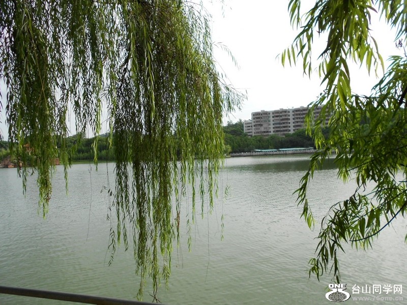 DSCN0151.jpg