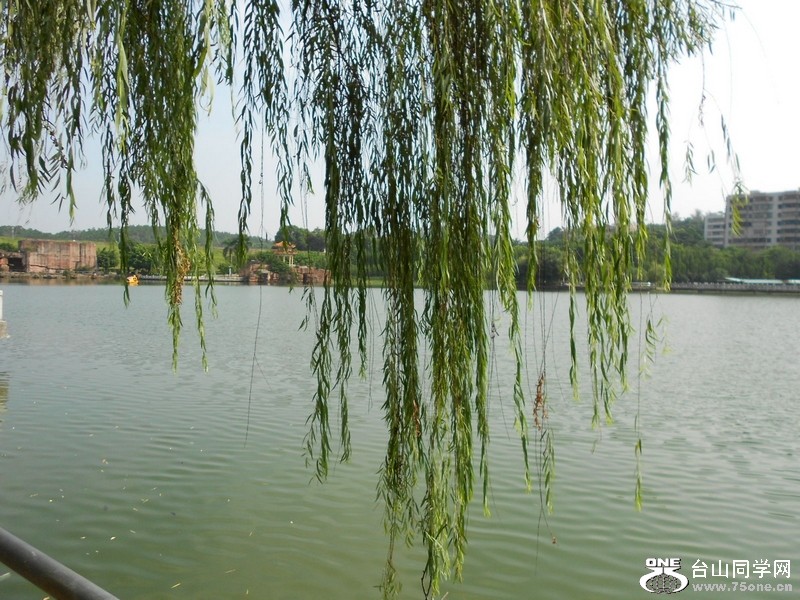 DSCN0263.jpg