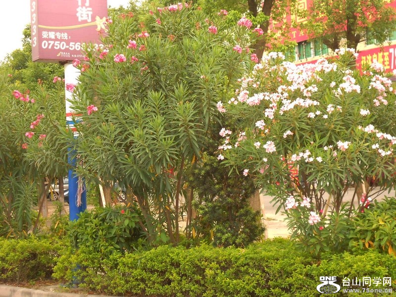 DSCN0288.jpg