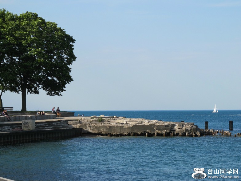20120403_121734.jpg
