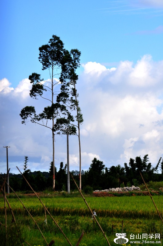 DSC_0368.JPG