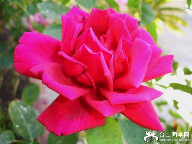 DSC00240.JPG