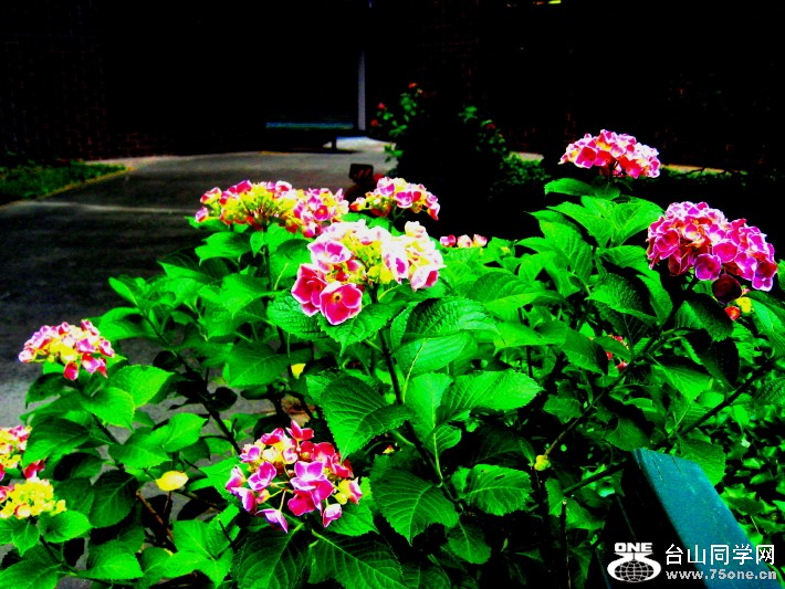 IMG_0001_837.jpg