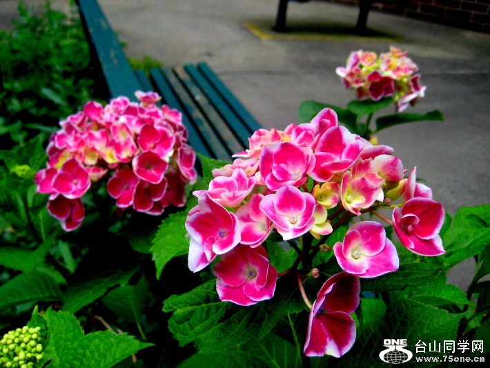 IMG_0001_836.jpg