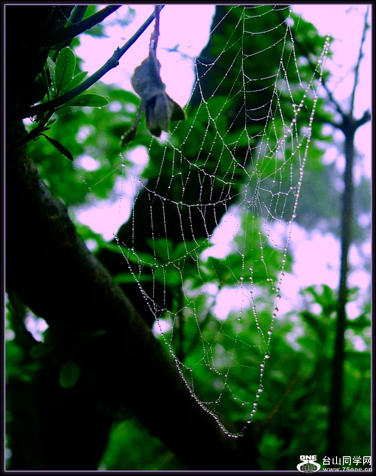 DSC06030.JPG