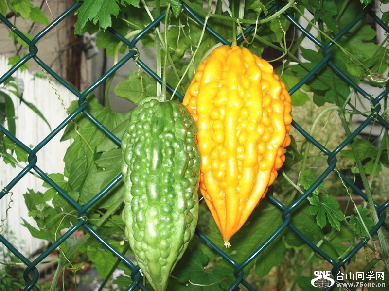 &nbsp;&nbsp;8.9.2012 010_.jpg