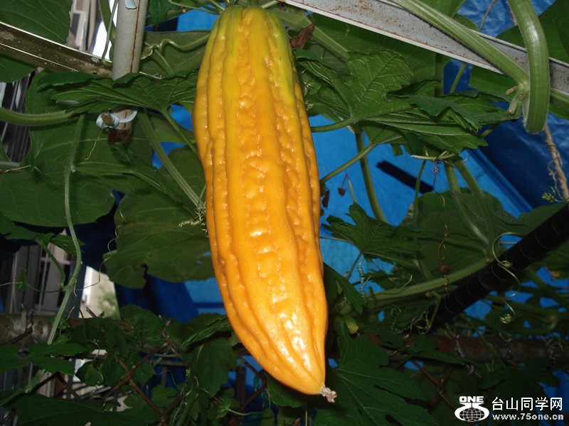 &nbsp;&nbsp;8.9.2012 023_.jpg
