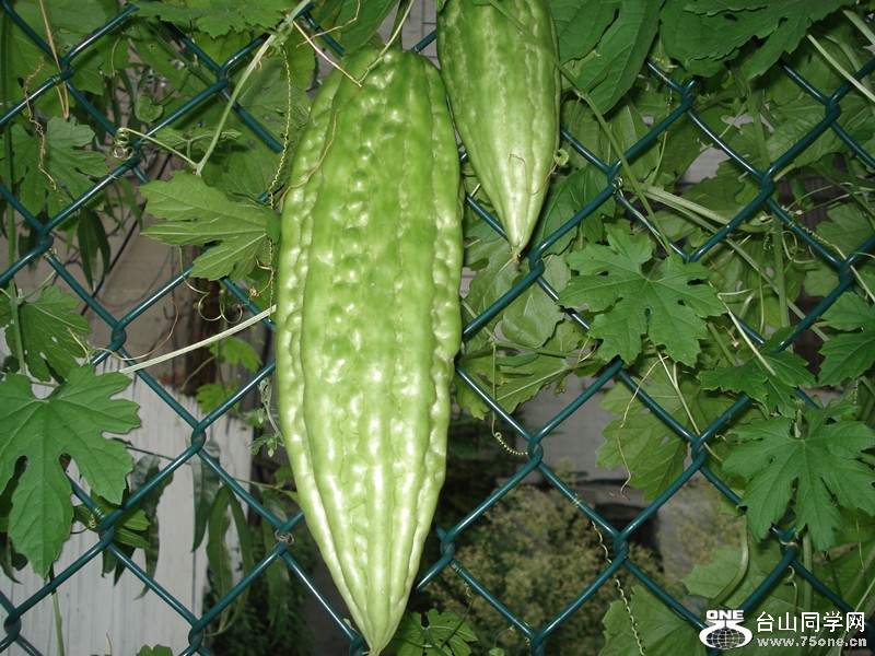 &nbsp;&nbsp;8.9.2012 011_.jpg
