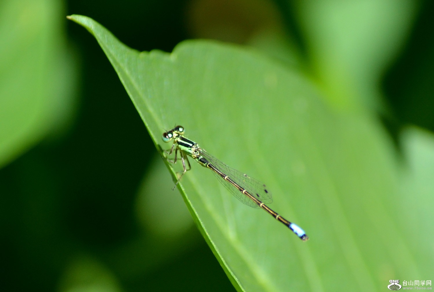 DSC_0003.jpg