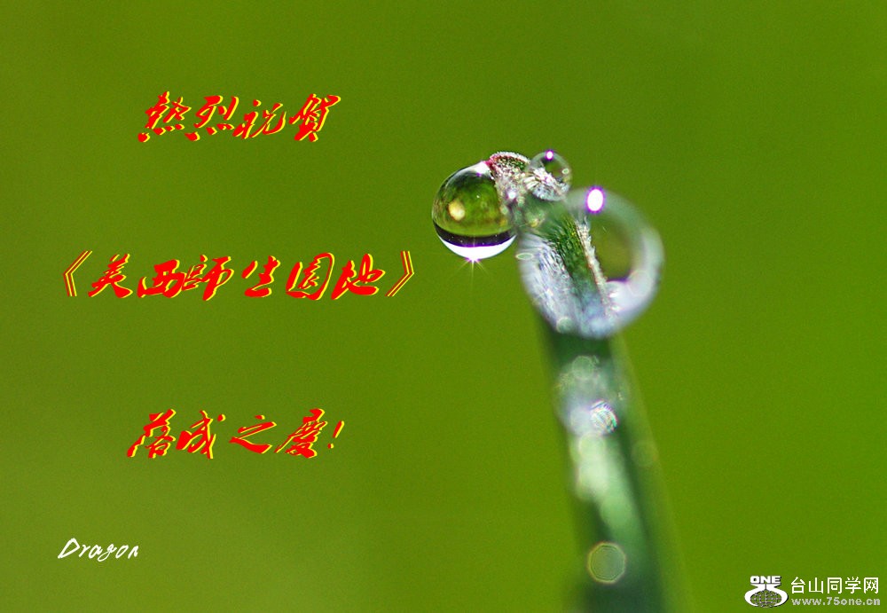 IMGP2184.jpg
