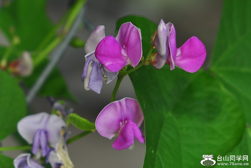 CSC_0586_.jpg