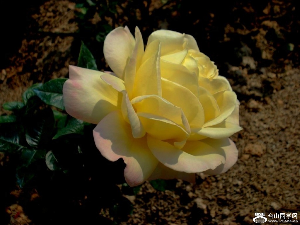 DSC054951.jpg