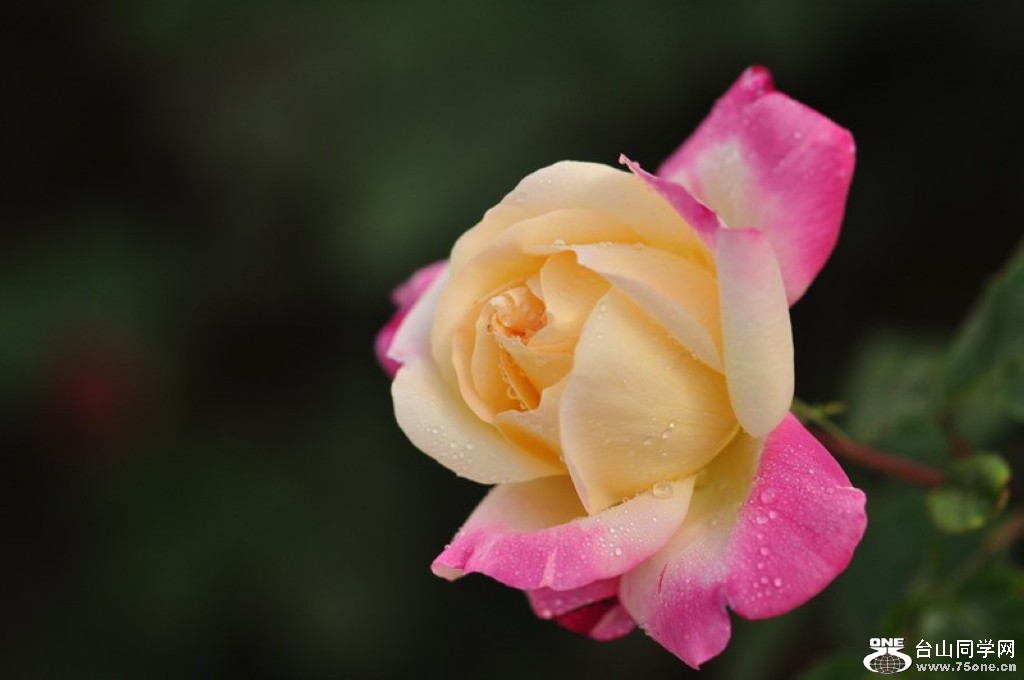 a15871991_s.jpg