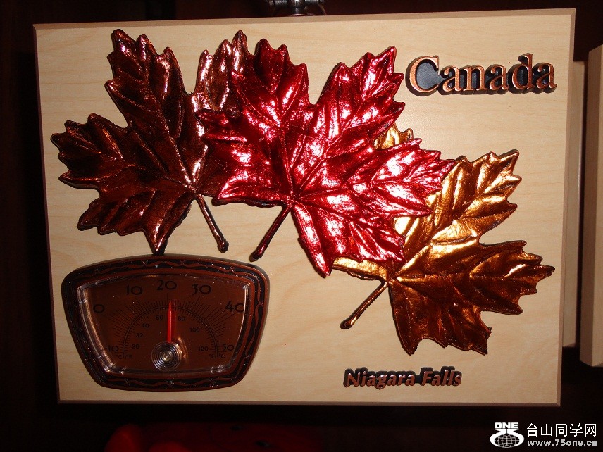 DSC01986-d.jpg
