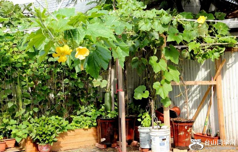 ������С IMG_6963.JPG