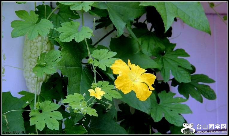 ������С IMG_6961.JPG