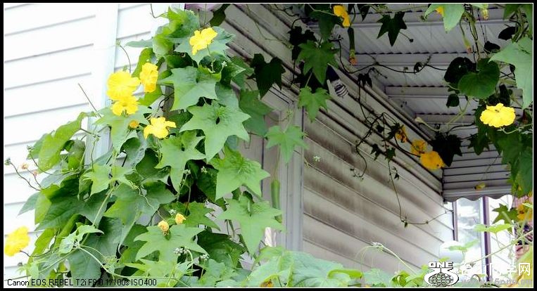 ������С IMG_6959.JPG