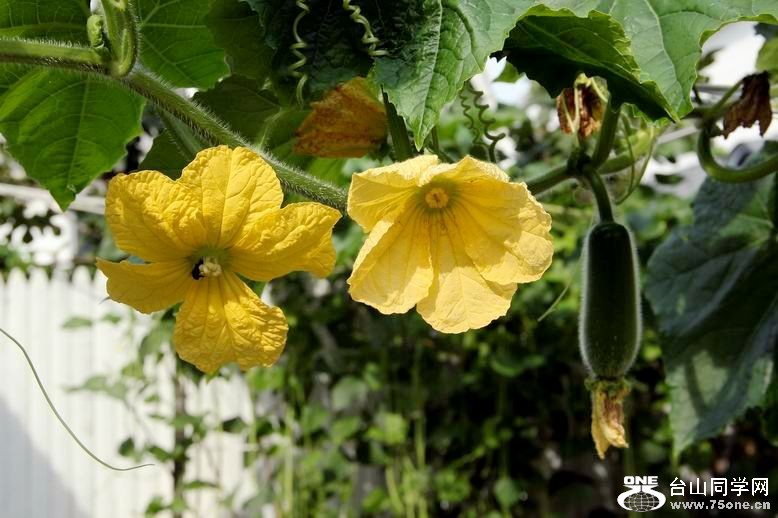 ������С IMG_6958.JPG