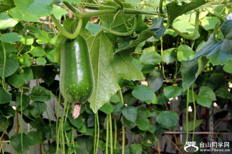 ������С IMG_6952.JPG