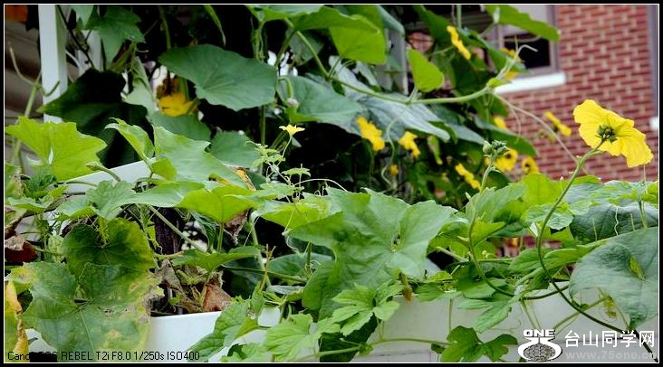 ������С IMG_6962.JPG