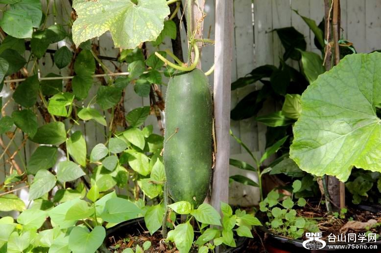 ������С IMG_6960.JPG