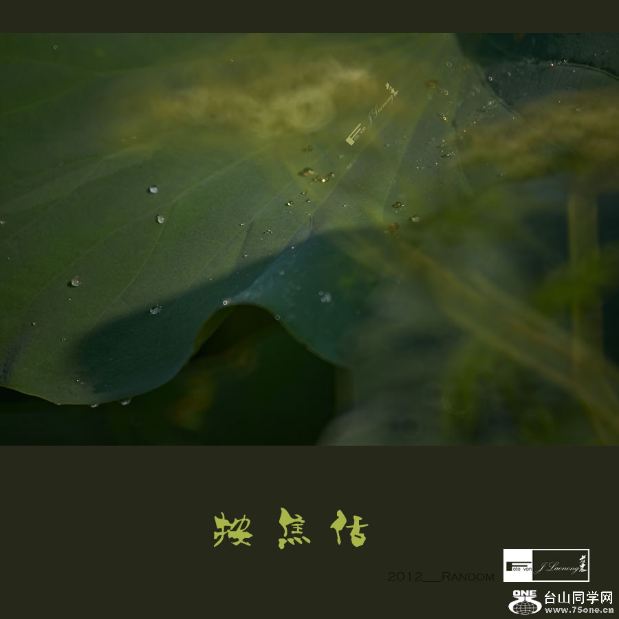 751DSD_1588.jpg