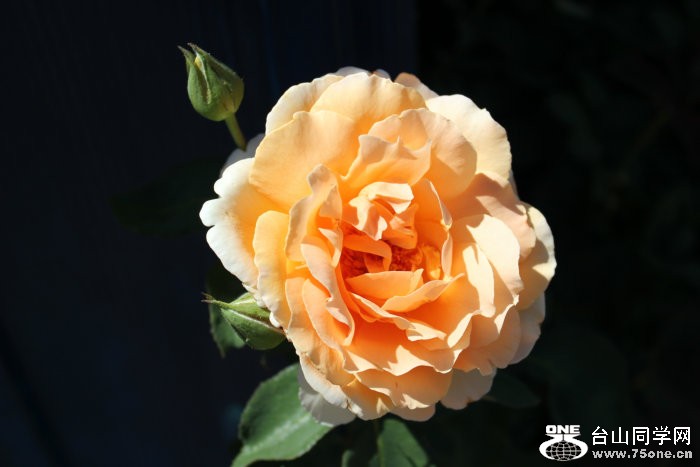 2012_07070239_.JPG