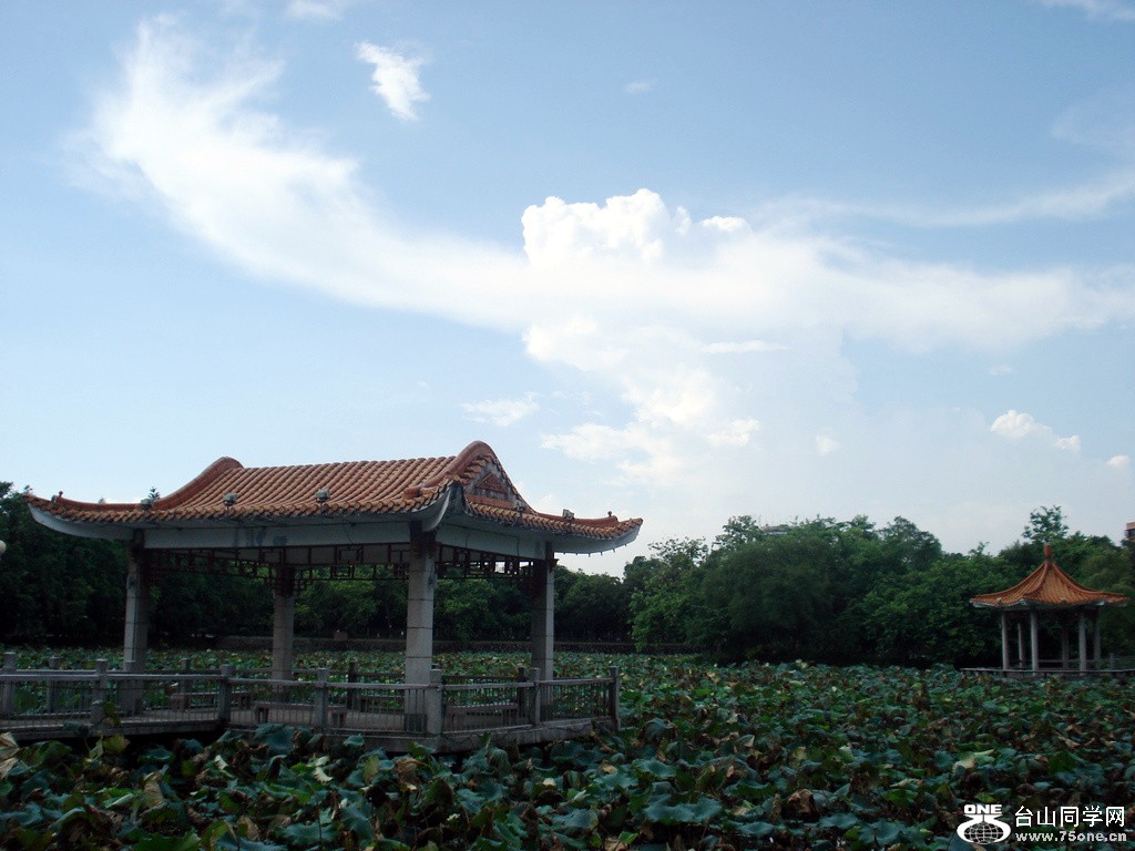 DSC00236.jpg