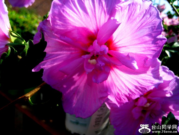 IMG_0001_865.jpg