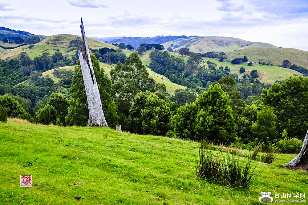 _DSC0374 [1024x768]-2.jpg