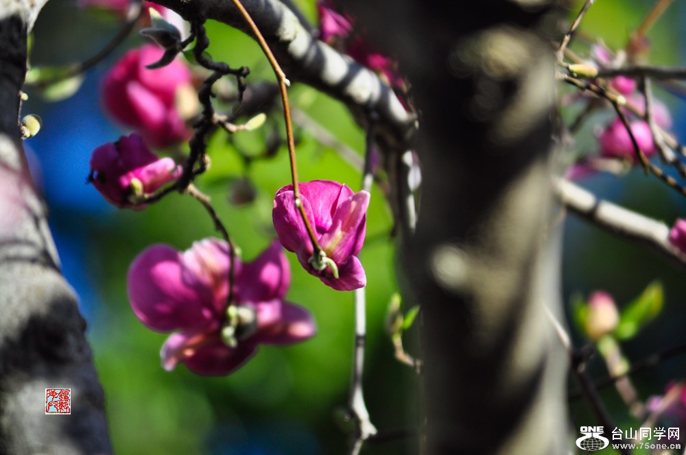 _DSC2473 - ����.jpg