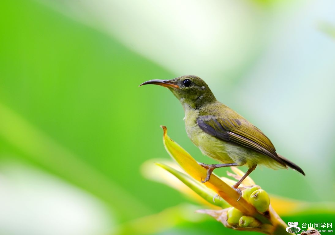 4.22��Ƭ 701.JPG