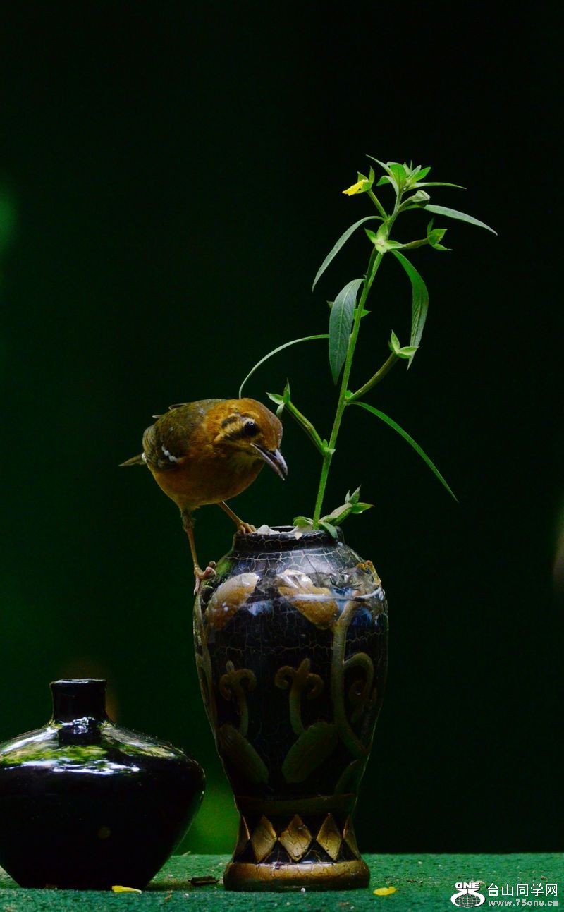 DSC_5845.JPG