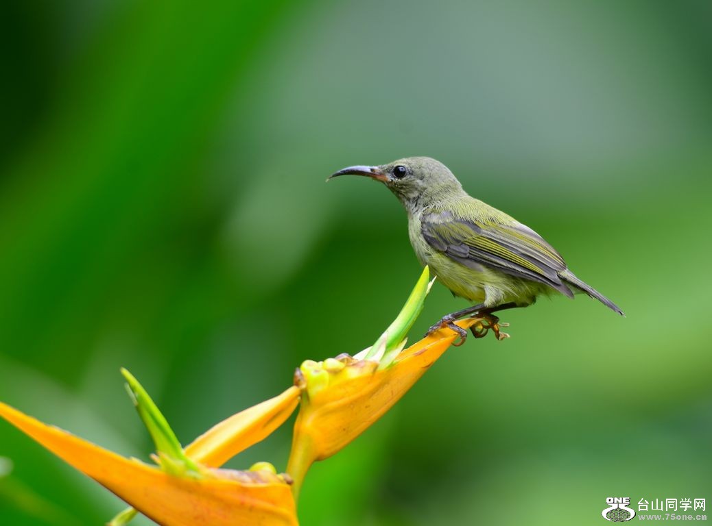 4.22��Ƭ 351.JPG