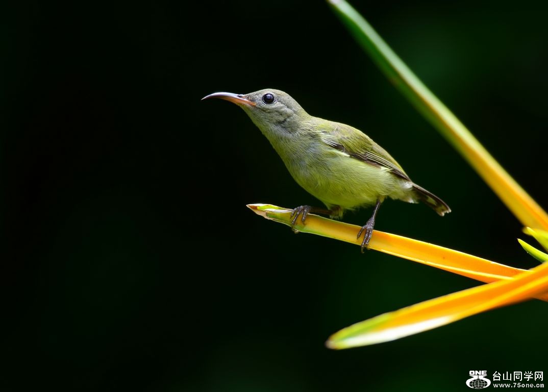 4.22��Ƭ 401.JPG