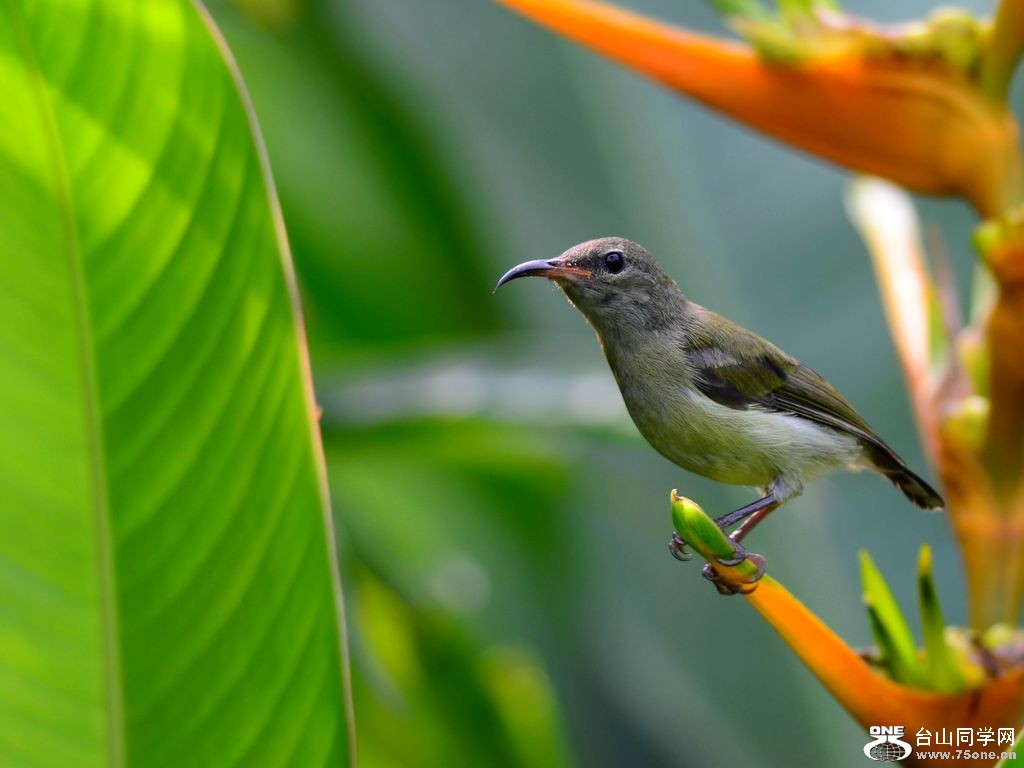 4.22��Ƭ 026.JPG