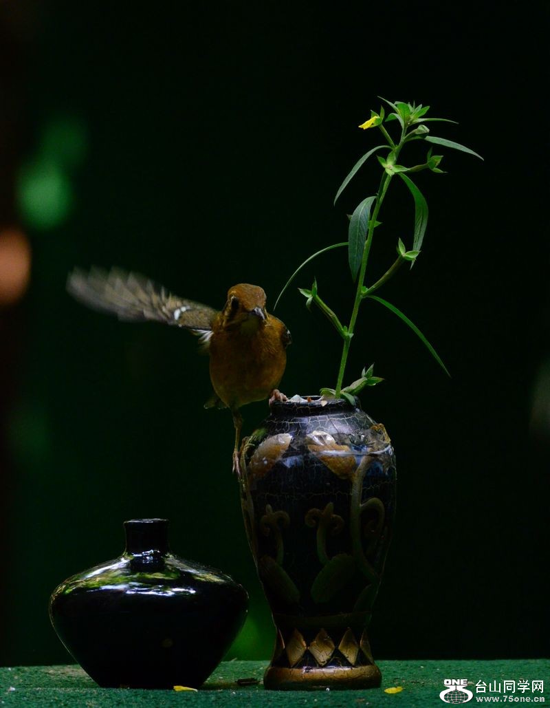DSC_5787.JPG