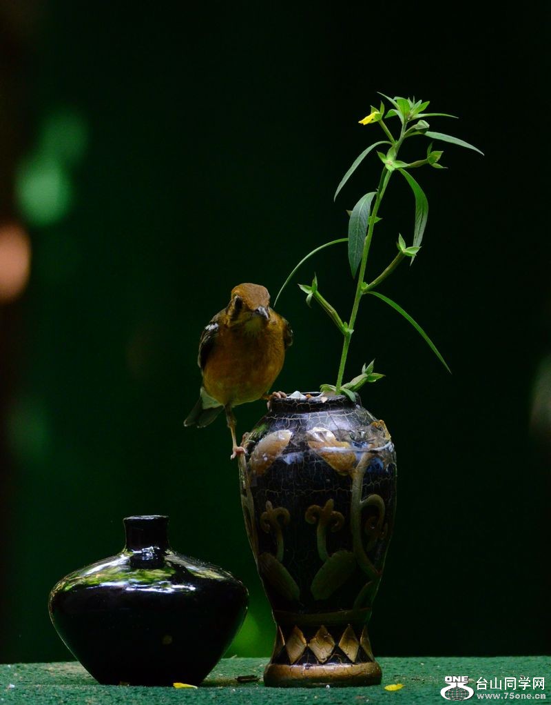 DSC_5786.JPG