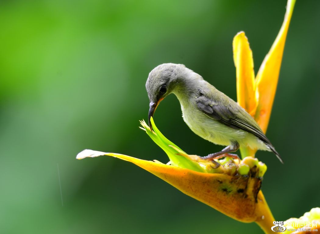 4.22��Ƭ 0751.JPG