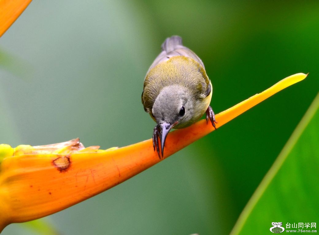 4.22��Ƭ 305.JPG