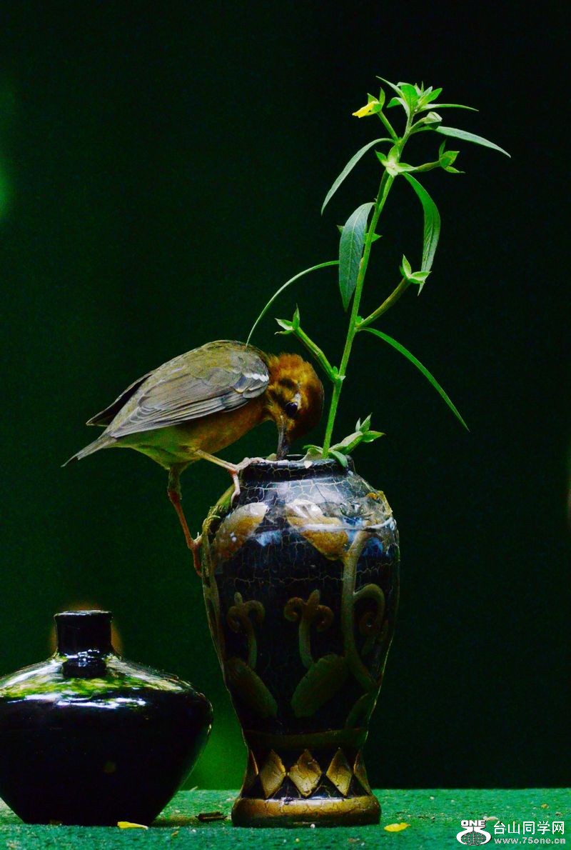 DSC_5971.JPG