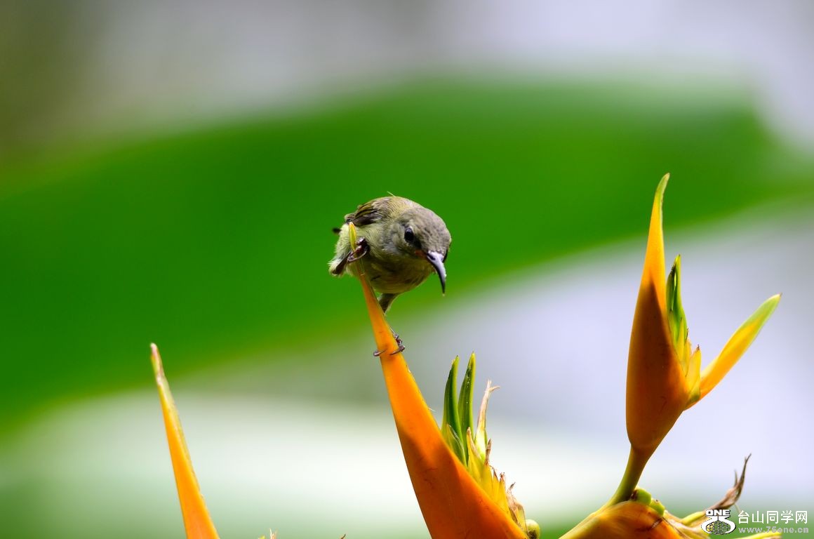 4.22��Ƭ 151.JPG