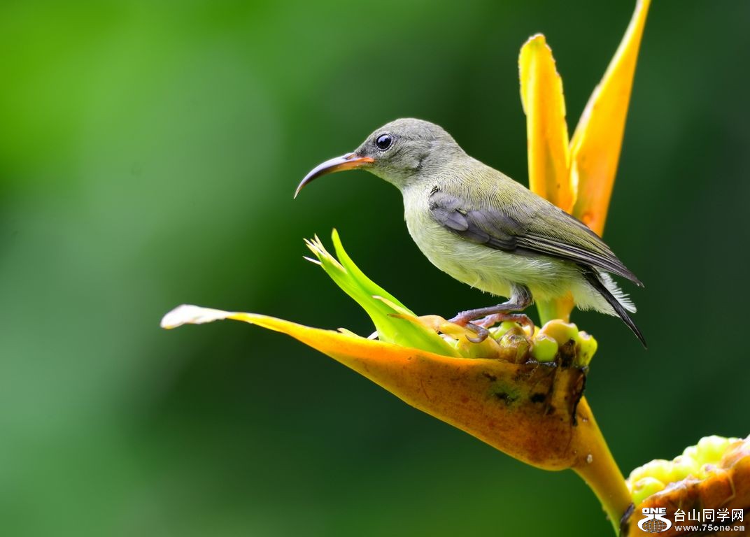 4.22��Ƭ 076.JPG