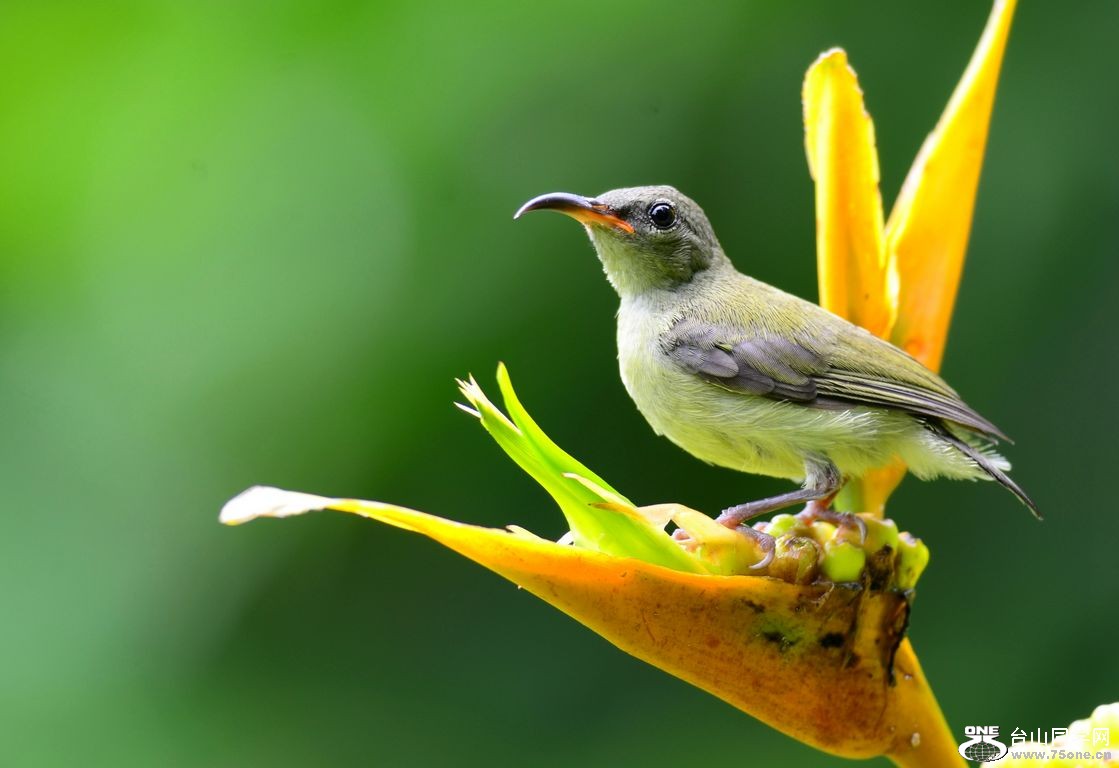 4.22��Ƭ 069.JPG